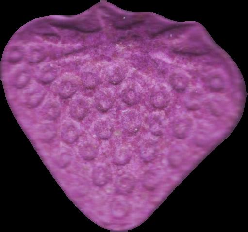 Fresa (Morado) - MDMA 86mg (Front) sample 2022-10-04_fresa_morado
