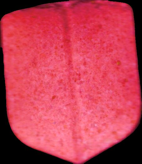 UPS (Rosa) - MDMA 206mg (Front) sample 2022-10-18_ups_rosa