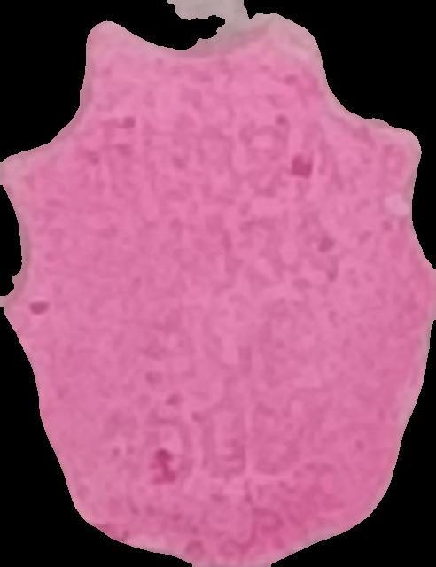 Pickle Rick (Rosa) - MDMA 80mg (Front) sample 2022-11-17_picklerick_rosa