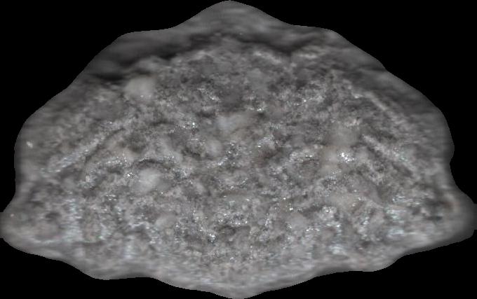 (Gris) - MDMA 168mg (Front) sample 2023-08-19_noidentificable_gris
