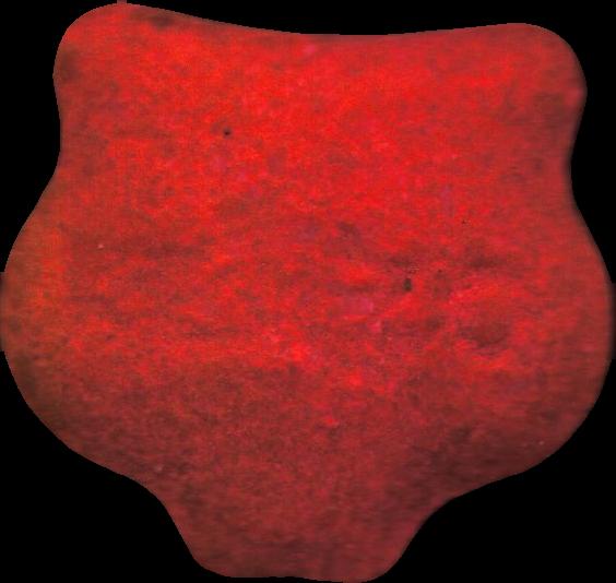 kenzo (Rosa) - MDMA 197mg (Front) pill — lab-tested sample