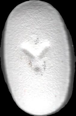 (Blanco) (Front) sample 2023-08-23_noidentificable_blanco