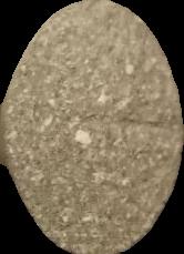 Masserati (Gris) (Front) sample 2023-09-07_masserati_gris