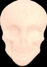 Calavera (Rosa) (Front) sample 2023-09-18_calavera_rosa