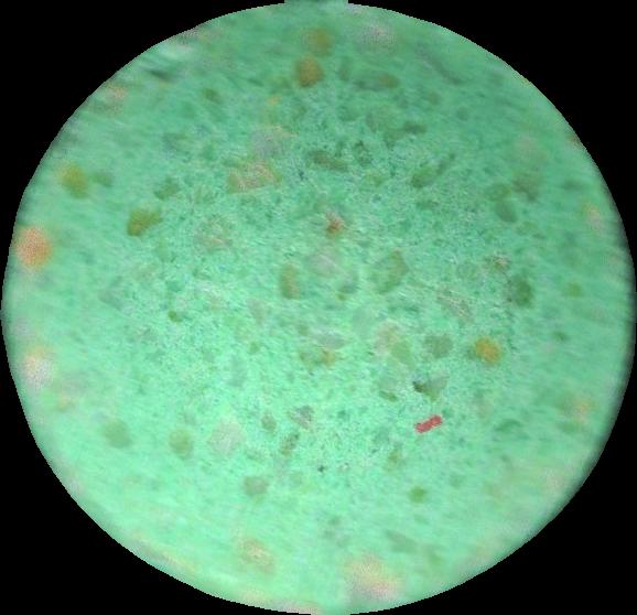 (Verde Claro) - MDMA 172mg (Front) pill — lab-tested sample