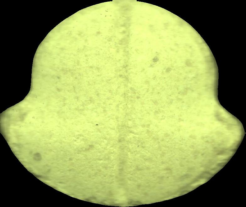 Moncler (Verde) - MDMA 332mg (Front) sample 2024-07-27_moncler_verde