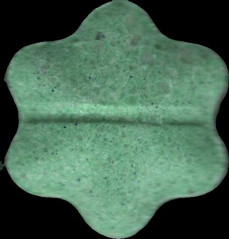 Átomo Bitcoin (Verde) - MDMA 180mg (Front) sample 2024-10-01_tomobitcoin_verde
