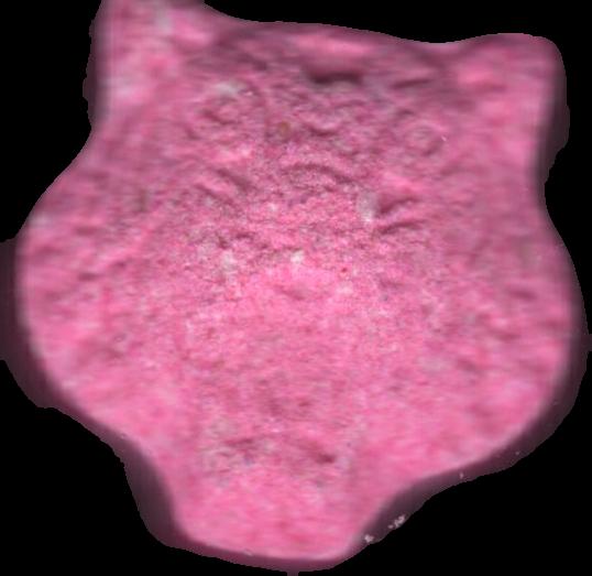 kenzo (Rosa) - MDMA 202mg (Front) sample 2024-12-03_kenzo_rosa