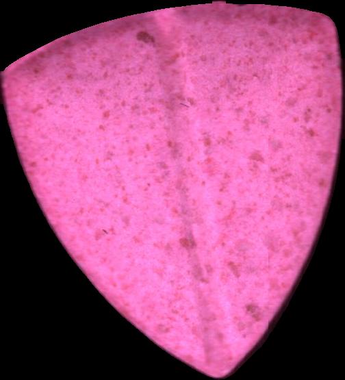 Tesla (Rosa) - MDMA 137mg (Front) sample 2025-06-04_tesla_rosa