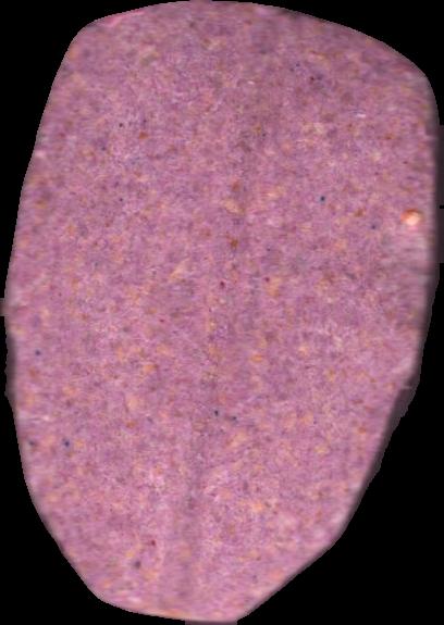 ironman (Morado) - MDMA 243mg (Front) sample 2025-06-18_ironman_morado