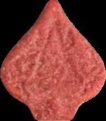Pica (Rosa) (Front) sample 2025-07-30_pica_rosa