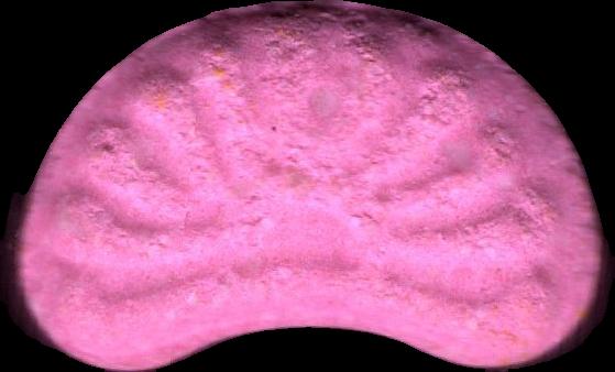 Amanecer (Rosa) - MDMA 197mg (Front) sample 2025-11-13_amanecer_rosa