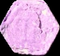 Phillip Plein (Morado) - MDMA 107mg (Front) sample 2026-03-05_phillipplein_morado