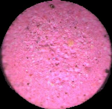 Sin logo (Rosa) - 2C-B 19mg (Front) sample 2026-03-19_sinlogo_rosa