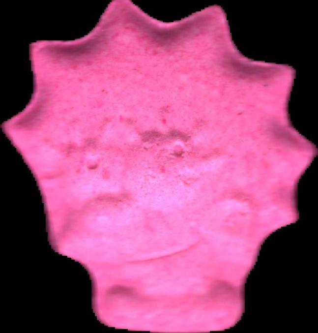 Simpson (Rosa) (Front) lab-tested pill — front
