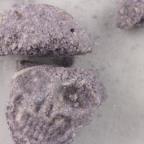 Totenkopf sample 0ec5ae2b-c23f-f111-88b4-7ced8d448ec8