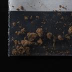 Cannabis mit Delta-8-THC & Synthesenebenprodukten sample 15af1481-df34-f111-88b4-6045bd2a62e7