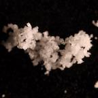 4-CMC verkauft als MDMA pill — lab-tested sample
