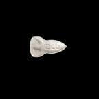 NASA (2C-B) lab-tested pill — back
