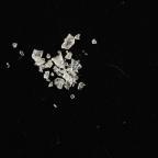 4-CMC verkauft als 2-MMC sample 77203164-555e-f111-a826-6045bd2a62e7