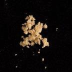 4-CMC verkauft als MDMA sample 913a359f-7832-f111-88b4-7ced8d448ec8