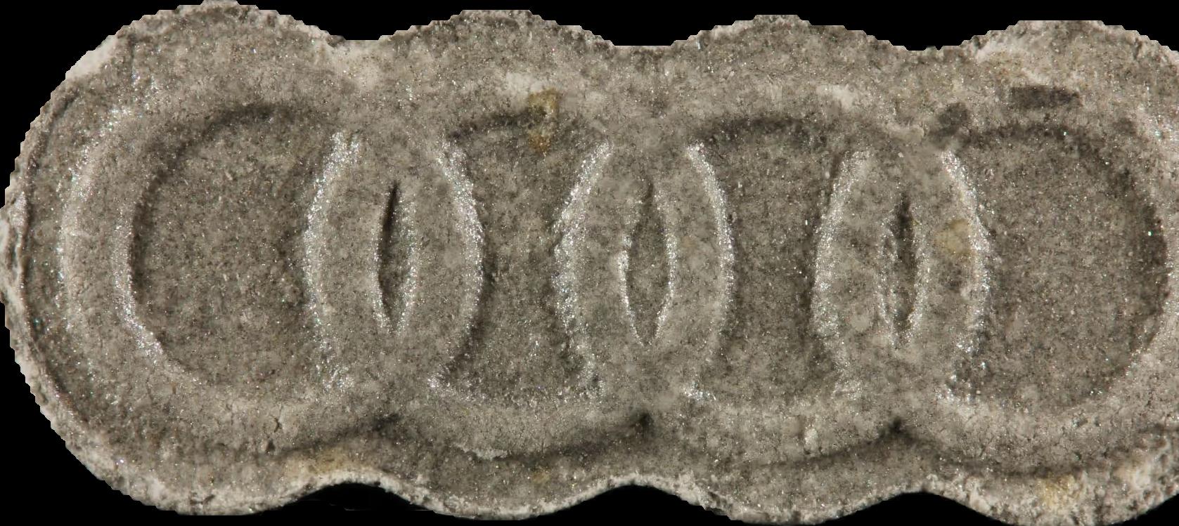 Audi RS (MDMA) sample audi-rs-mdma-131220243-280225-1