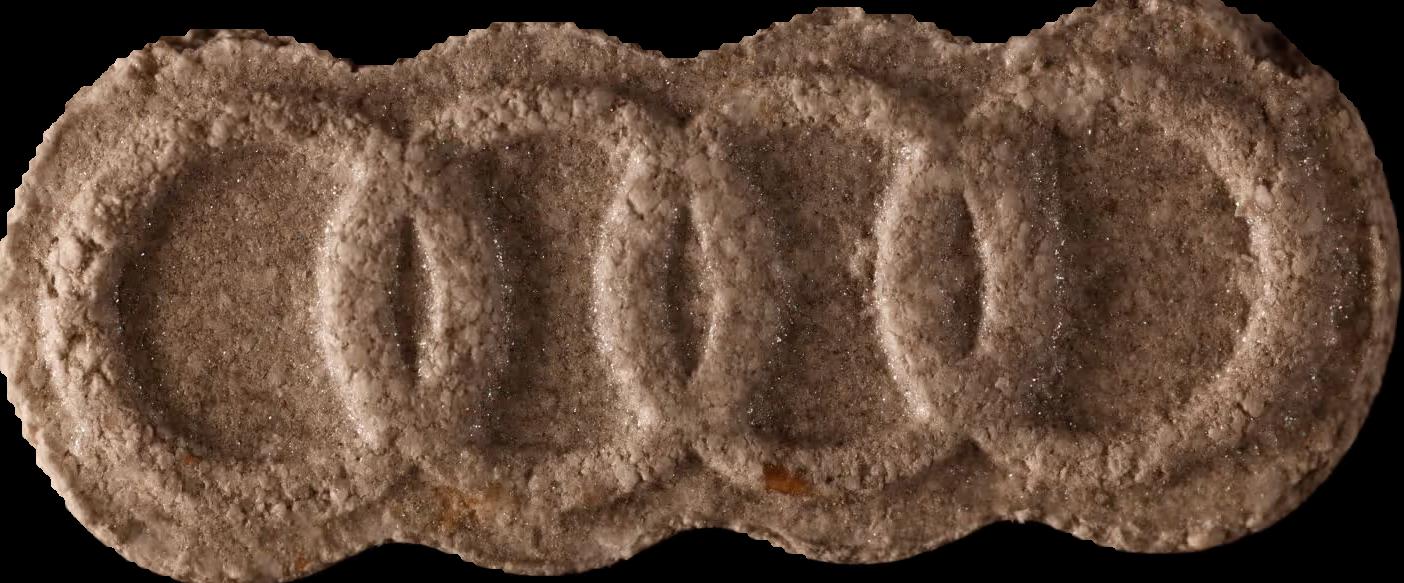 Audi RS (MDMA) sample audi-rs-mdma-291025