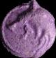 Wolf (MDMA) sample bff8e482-7953-f111-bec7-6045bd2a62e7