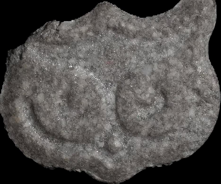 Eule / Panama (MDMA) sample eule-panama-mdma-251024