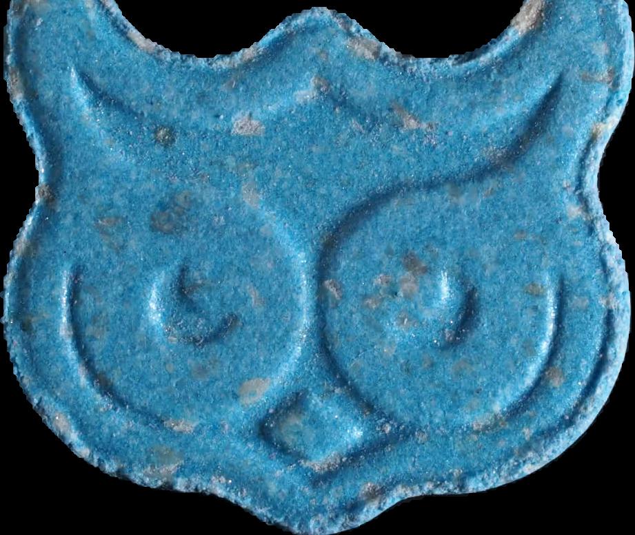 Eule / Panama (MDMA) sample eule-panama-mdma-dib7102