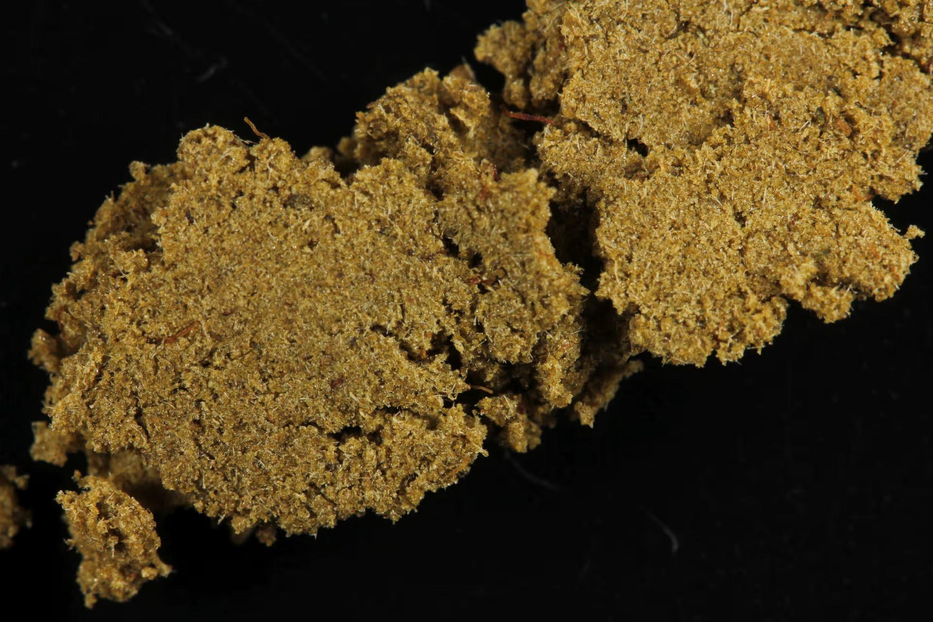 Haschisch mit Delta-8-THC sample haschisch-mit-delta-8-thc-070325
