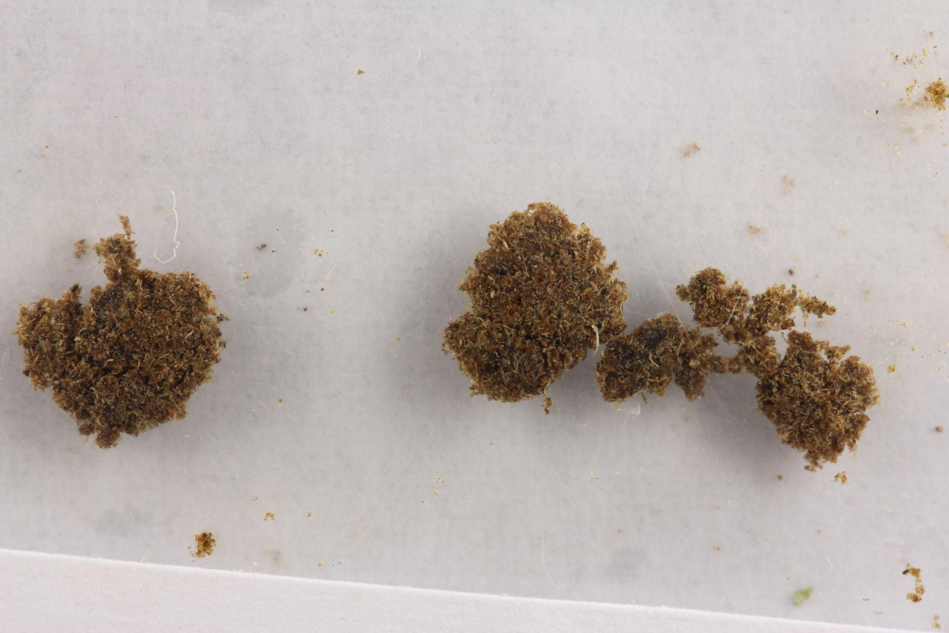 Haschisch mit Delta-8-THC sample haschisch-mit-delta-8-thc-c2006