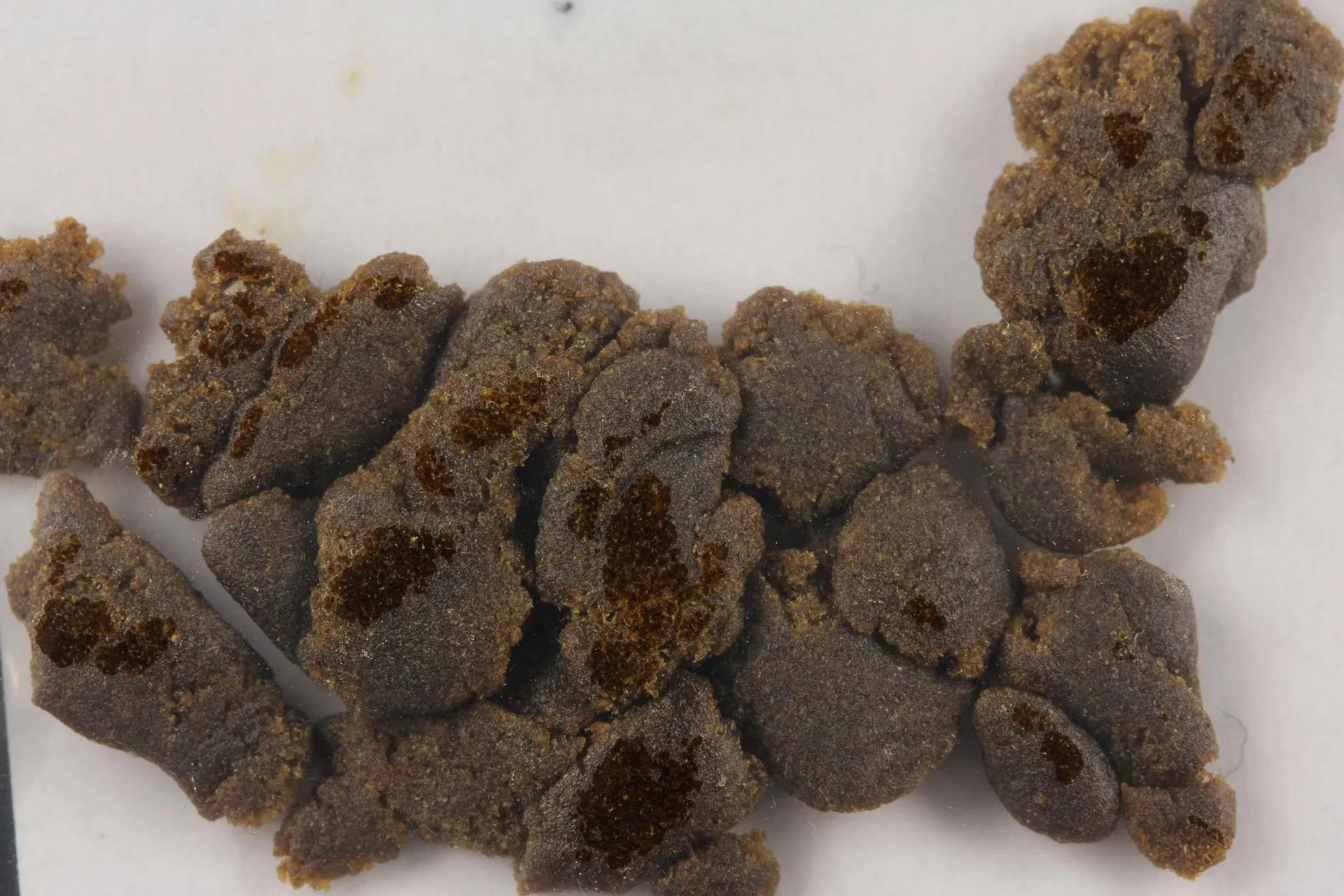 Haschisch mit Delta-8-THC sample haschisch-mit-delta-8-thc-c2011-copy