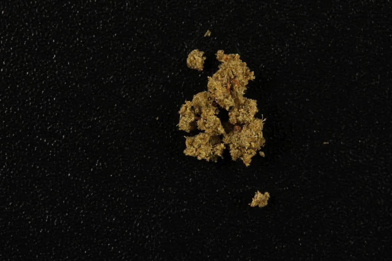 Haschisch mit Delta-8-THC sample haschisch-mit-delta-8-thc210325